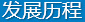 发展历程